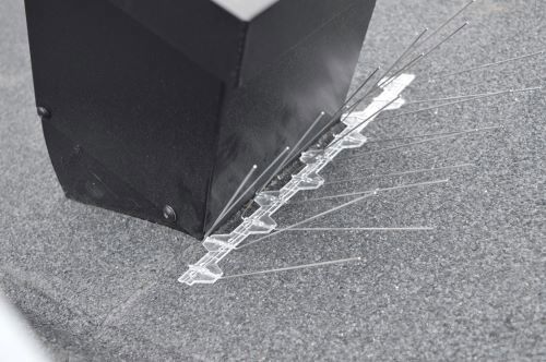 Fuglepigge er monteret direkte på taget