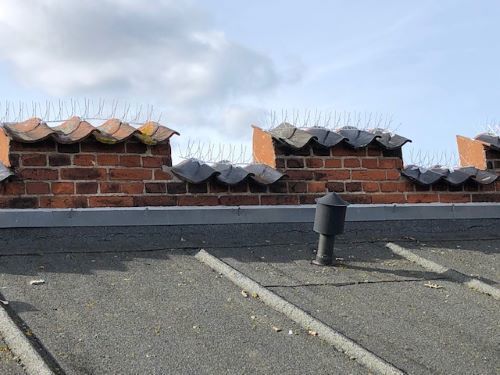 På denne tidligere kommunale bygning har vi forebygget larm og angreb fra mågerne ved at montere fuglepigge.