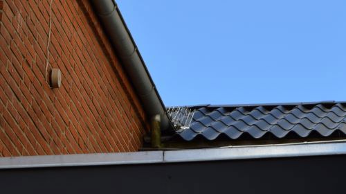 Fuglepigge i skotrender mellem bygninger forhindrer mågerne i at bygge reder her