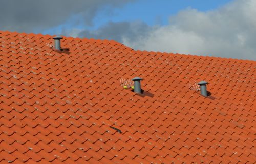 På taget er monteret fuglepigge ved udluftningshætterne